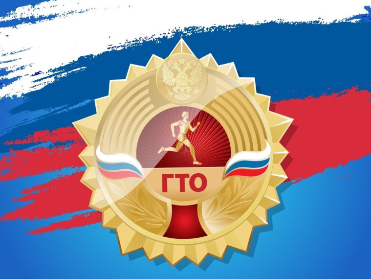 Пилотный проект.